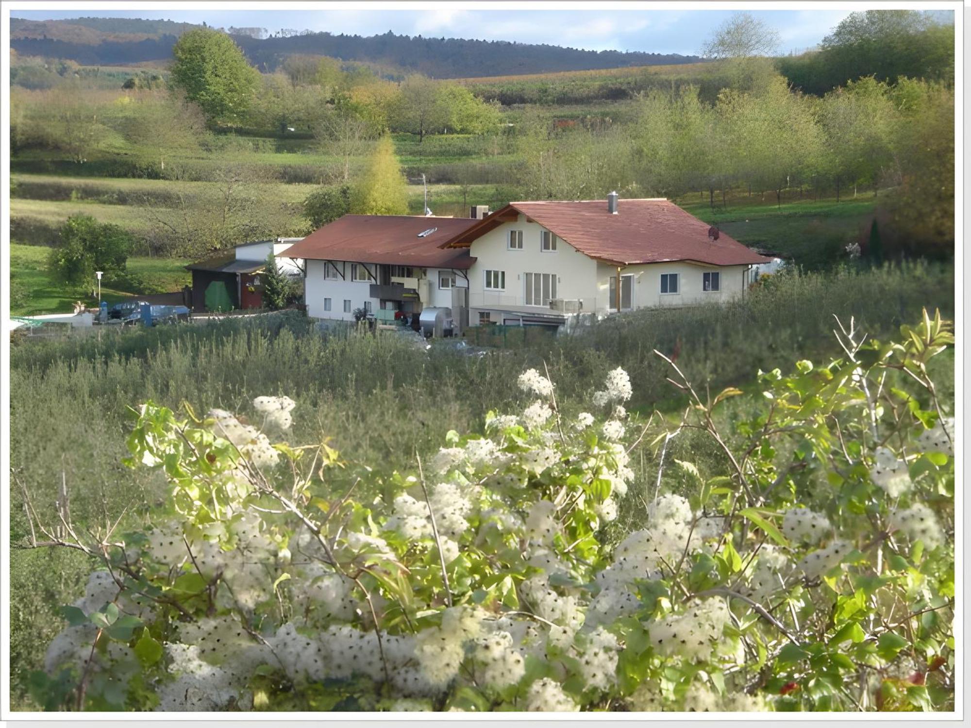 Weingut Ringwald Apartment Herbolzheim Exterior photo